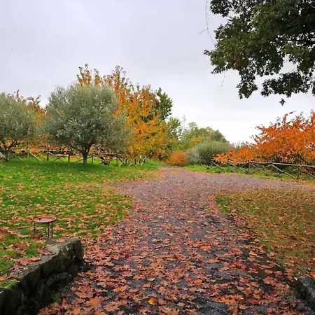 مزرعة للإقامة Perrotta SantʼAlfio