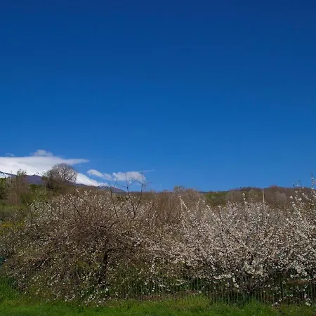 Perrotta Alojamento de Turismo Rural SantʼAlfio