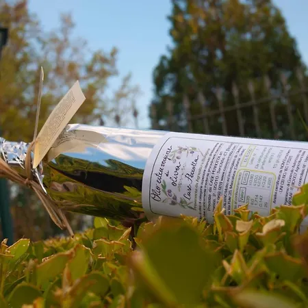 Perrotta Alojamento de Turismo Rural *