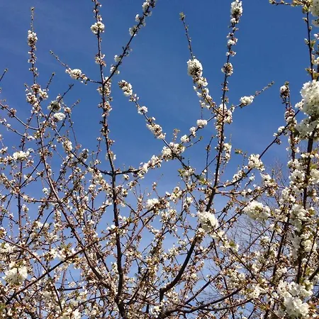 Alojamento de Turismo Rural Perrotta SantʼAlfio