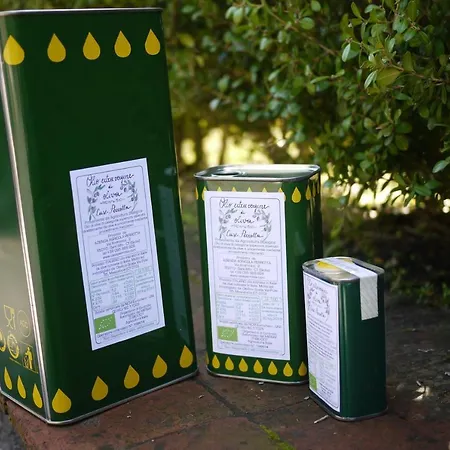 Feriegård Perrotta *